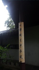 3793053
