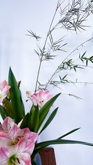 D600366E-8057-4D0C-993C-96C7D57EECAA/L0/001