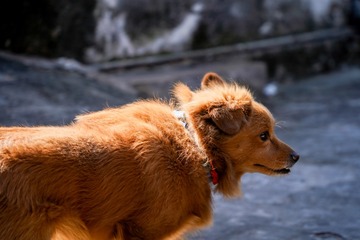 6E019313-028F-4E81-9ABB-88EF44AA074B/L0/001