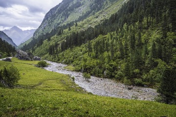 Untitled-8