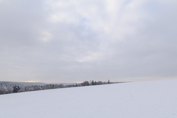 Untitled-7