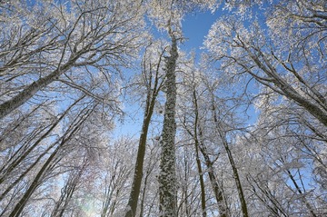 Untitled-3