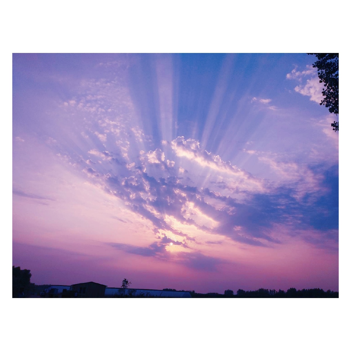 夕阳和晚霞的爱情