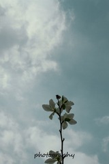 1228550