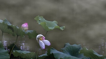 9F1D05C5-C5DC-4FA7-8446-B104BBACCF55/L0/001