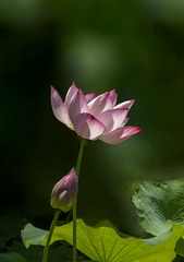 09CA24DD-8054-4350-AC04-3FCFE9042F25/L0/001