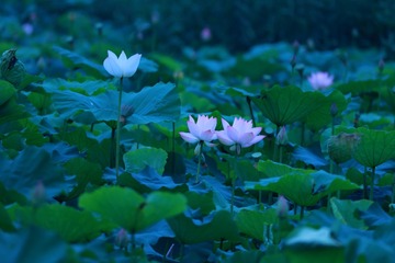 001