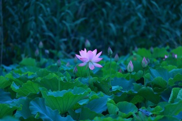 001