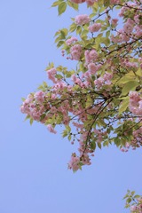 B91C7E5A-27BB-424D-B873-ABF398529BA4/L0/001