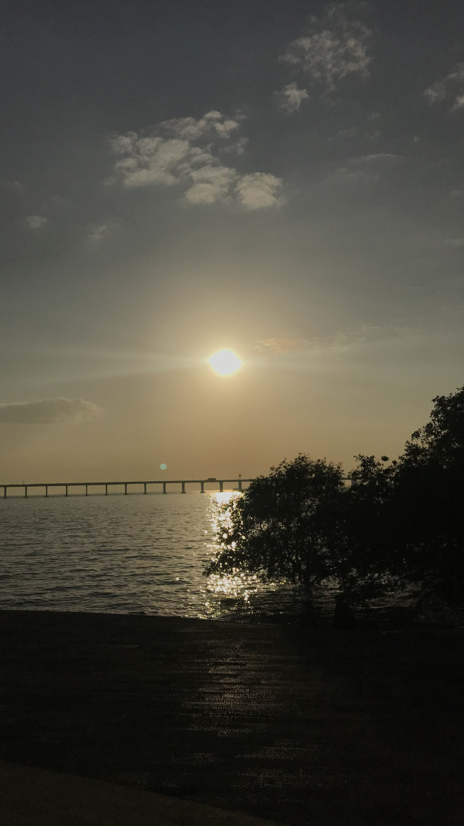 手机拍摄 - 牛哥手机摄影8826 - 图虫