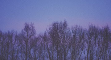 2487711