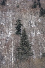 2580139