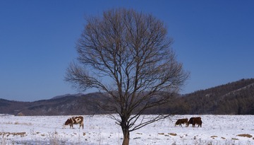 2580147