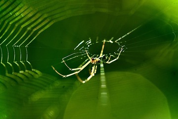 C82DEA7C-2009-405F-A645-A966BC527D14/L0/001