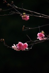 2A75637C-9CF1-4903-B798-76FB697653AE/L0/001