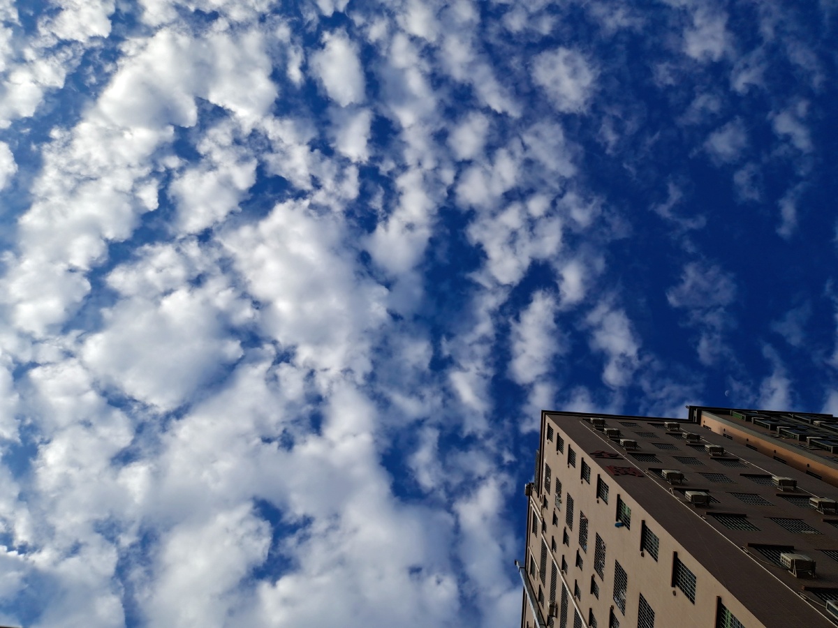 天空是蔚蓝色窗外有千纸鹤