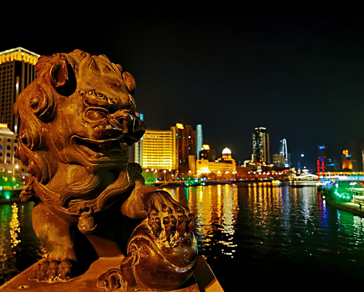 天津海河狮子林桥夜拍