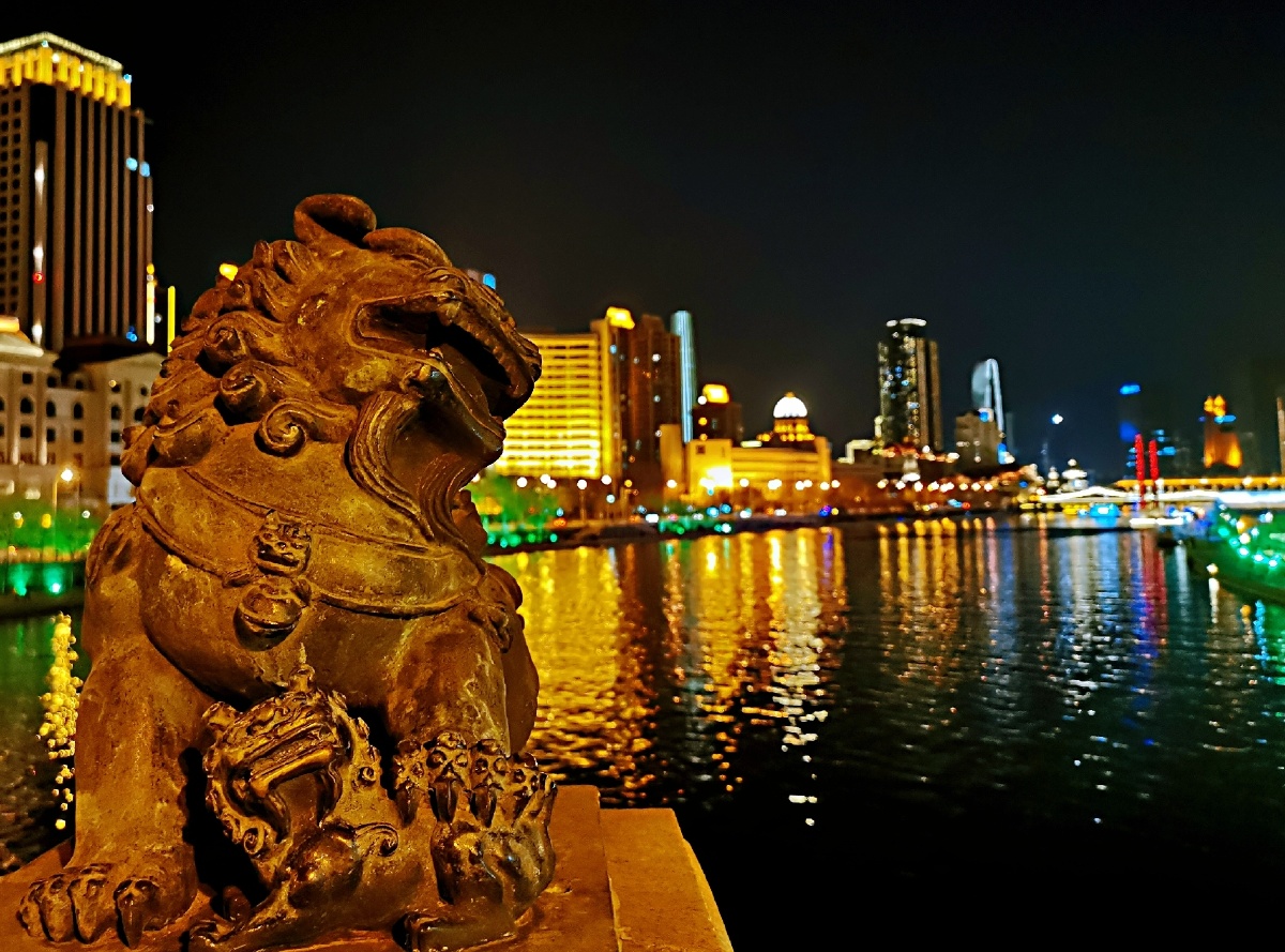 天津海河狮子林桥夜拍