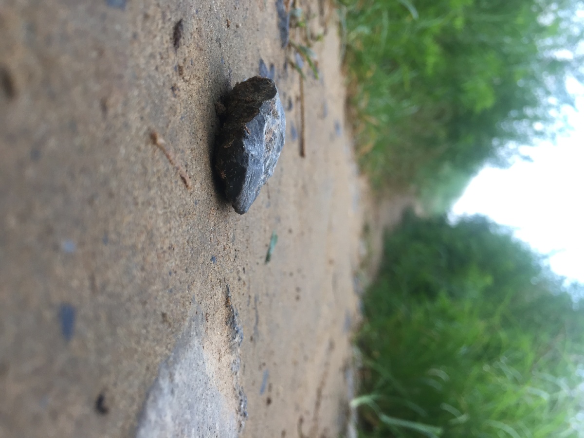 原图27前进路上的绊脚石总要踢开不然早晚让你摔跟头