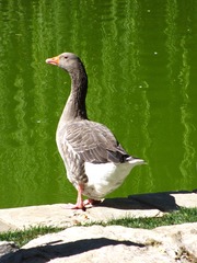 160362