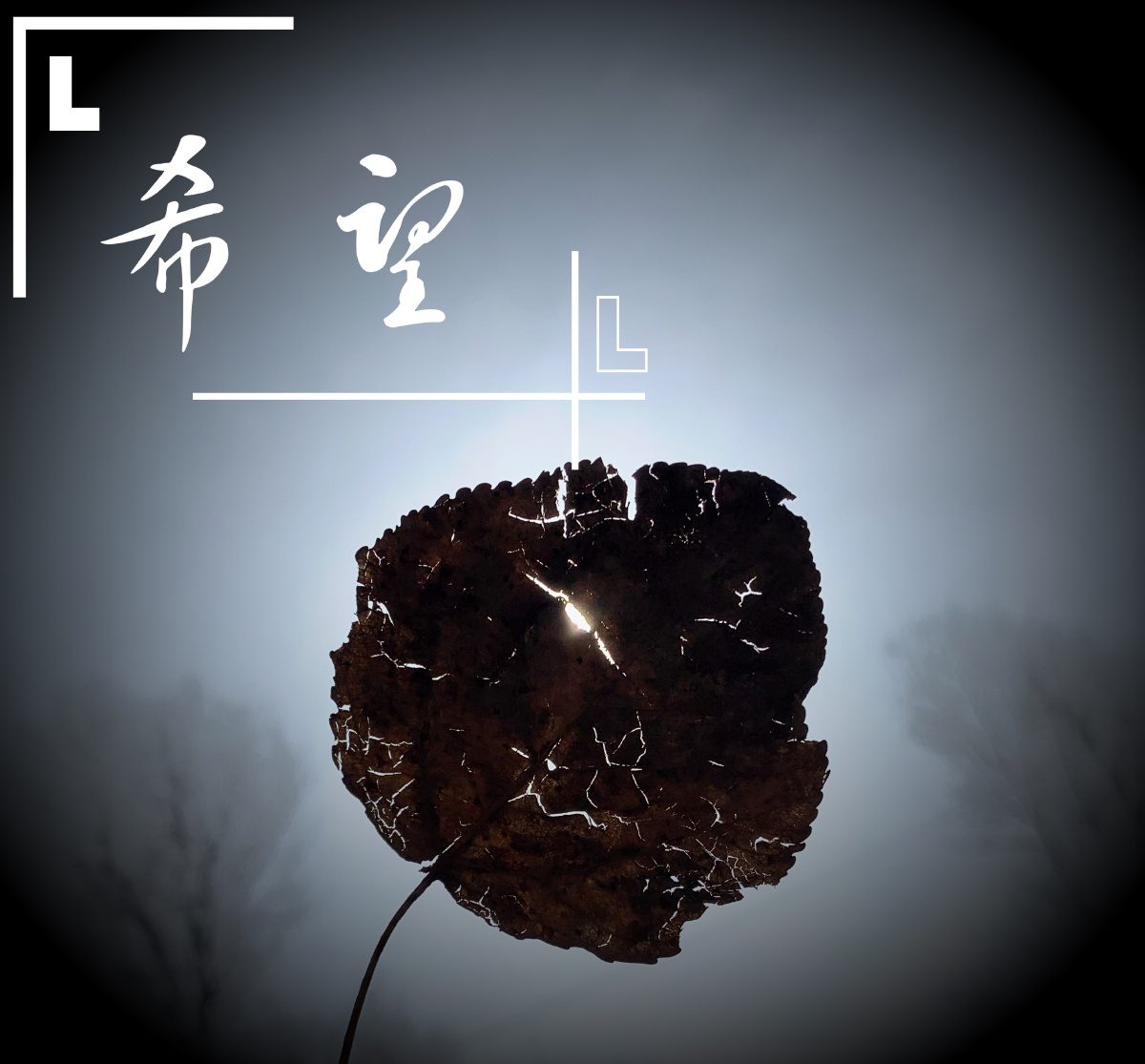 愿你在我看不到的地方安然无恙愿你的冬天永远不缺暖阳愿你的明天不再