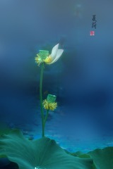1206287