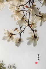 1206400