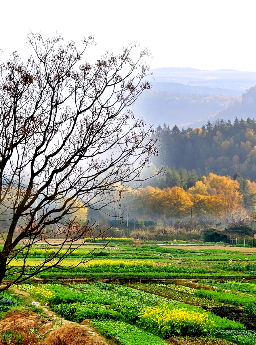 原生态乡村小景
