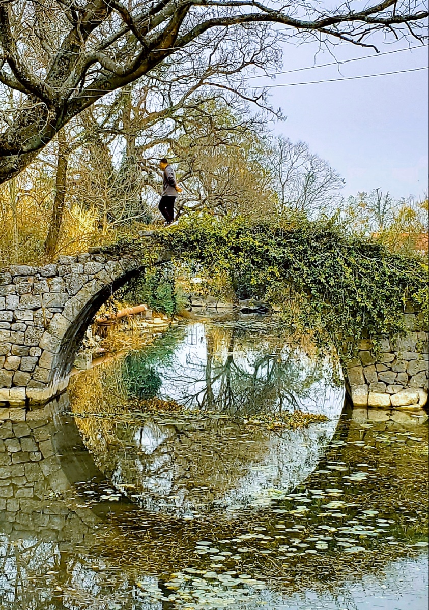 乡村梦幻原始古桥