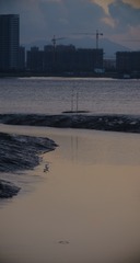 1020629