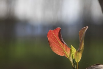 3871744