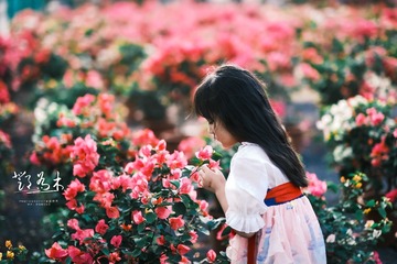 83C6FC32-9451-4813-925F-D0F0FB31C79A/L0/001