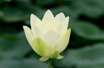 5AB79151-406C-4466-A0B5-53EE36BF1A27/L0/001