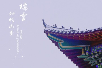 2315301