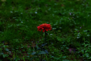 C9B6969C-691A-49C0-8733-D689C6C6CCDE/L0/001