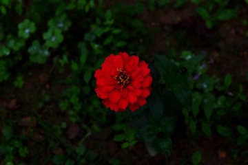 29EBA6FD-6CCF-48D9-942F-64FEC00FB535/L0/001