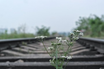 567652