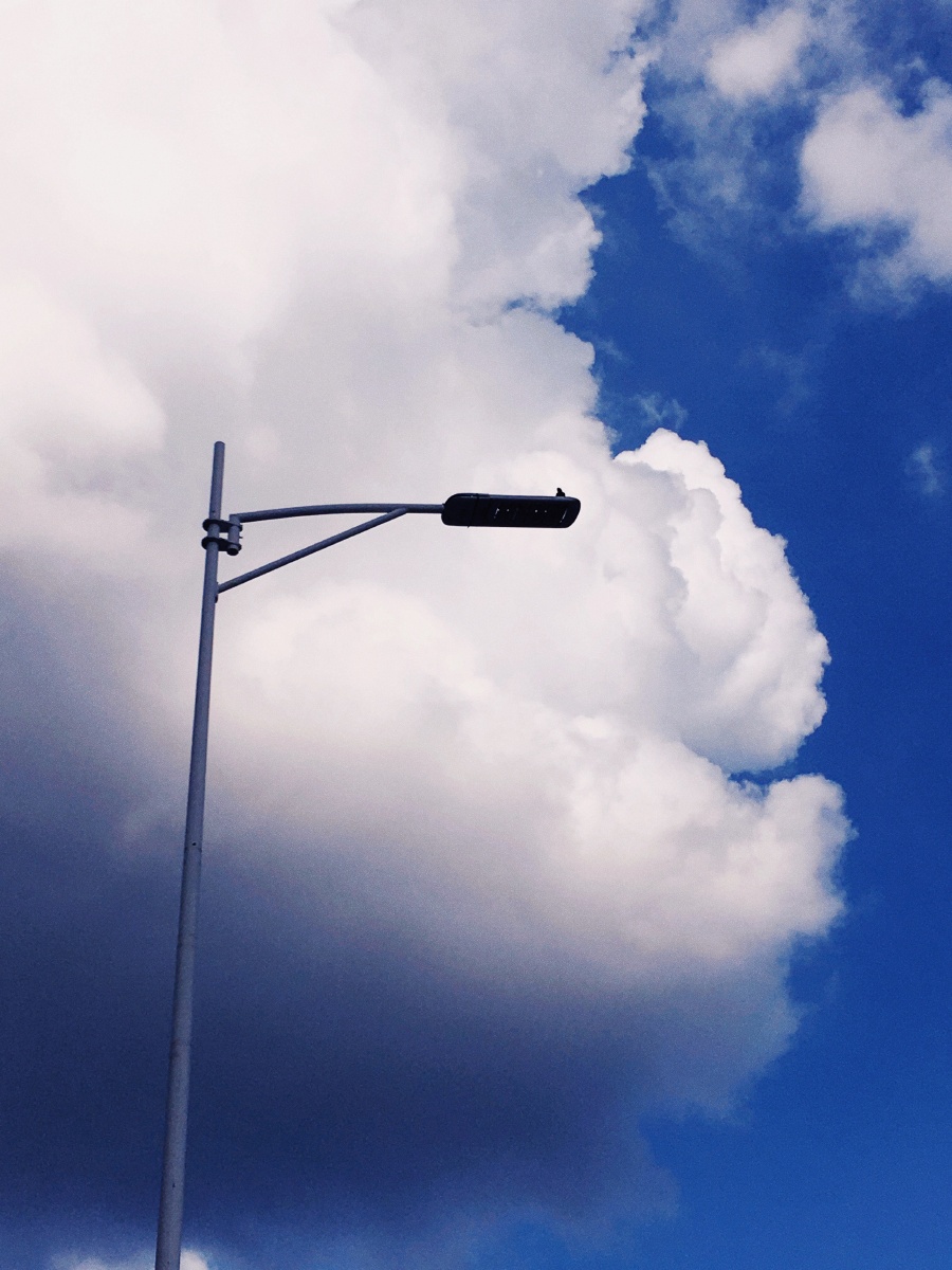 拍鸟设备:苹果se 场景:路边电线杆后期:一卷胶片 - 风吹雁雪