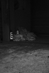 F13E5D78-89F7-4EF6-B501-7A6F690E4D62/L0/001