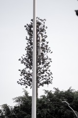 908CFDBD-7DD2-42E1-B7DA-72D43D58C9C7/L0/001