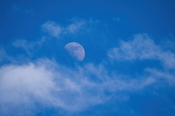 D606499D-C8D8-4B31-A9CF-180186B5340B/L0/001