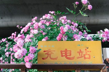 0E8EBB64-0B97-4A83-8B14-9FC8EEAD21A6/L0/001