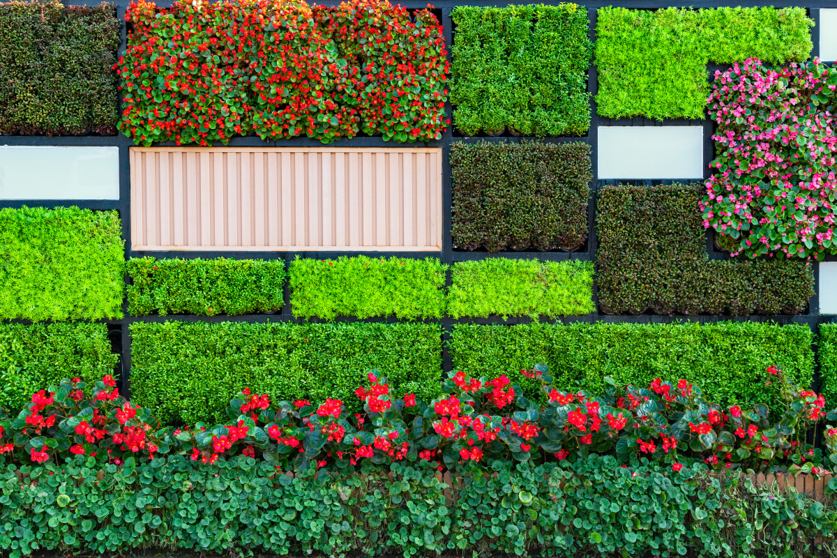 绿化之几何图形