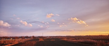 _SDI0366