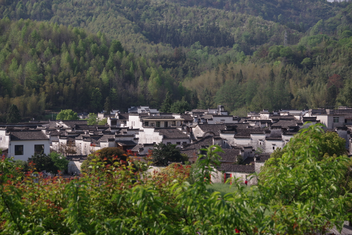 随意拍的几张徽派建筑群落懒得二次p图了原图上