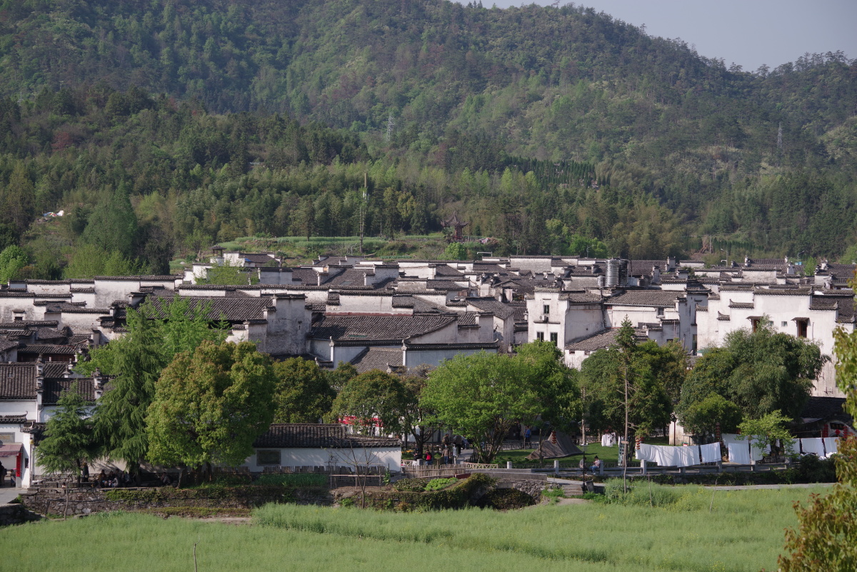 随意拍的几张徽派建筑群落懒得二次p图了原图上