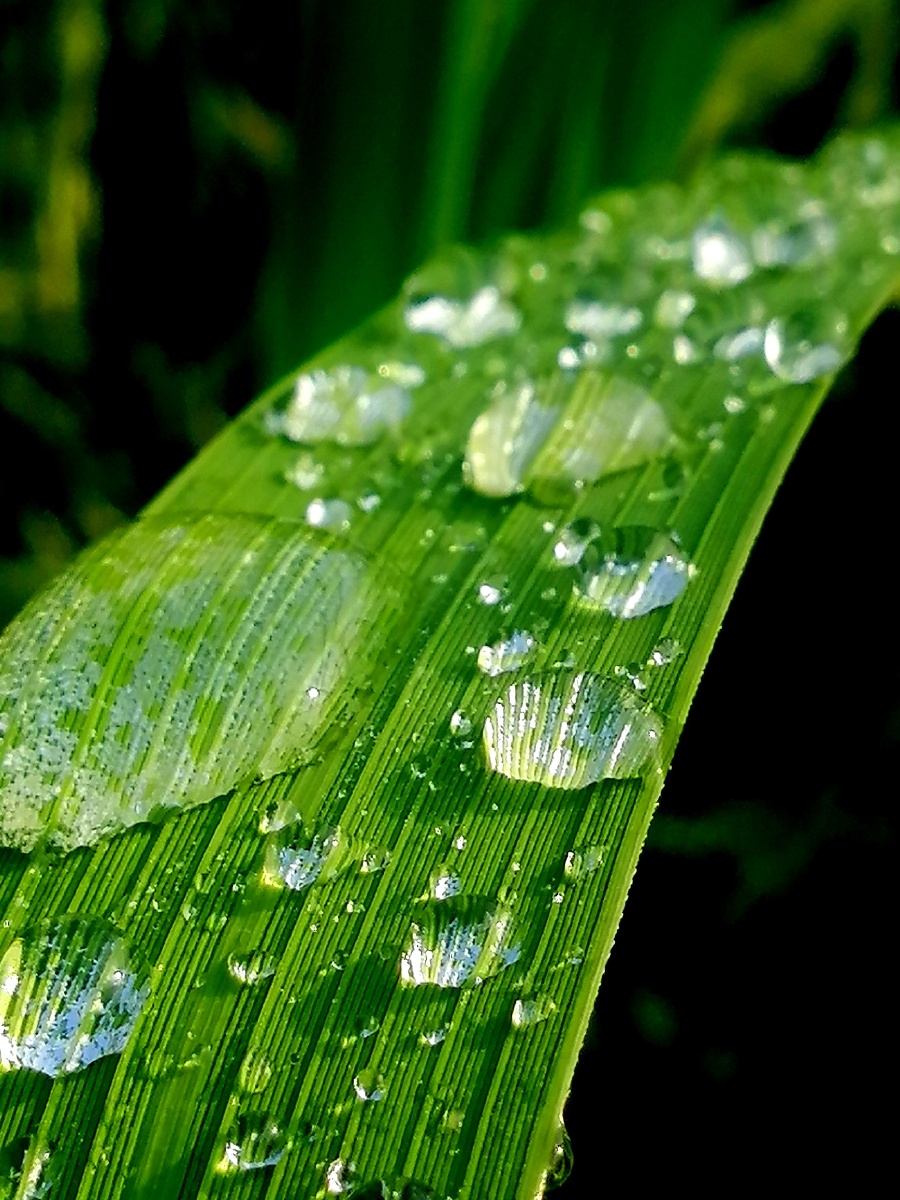 水滴世界