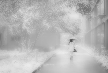 LYF_4813 (2)