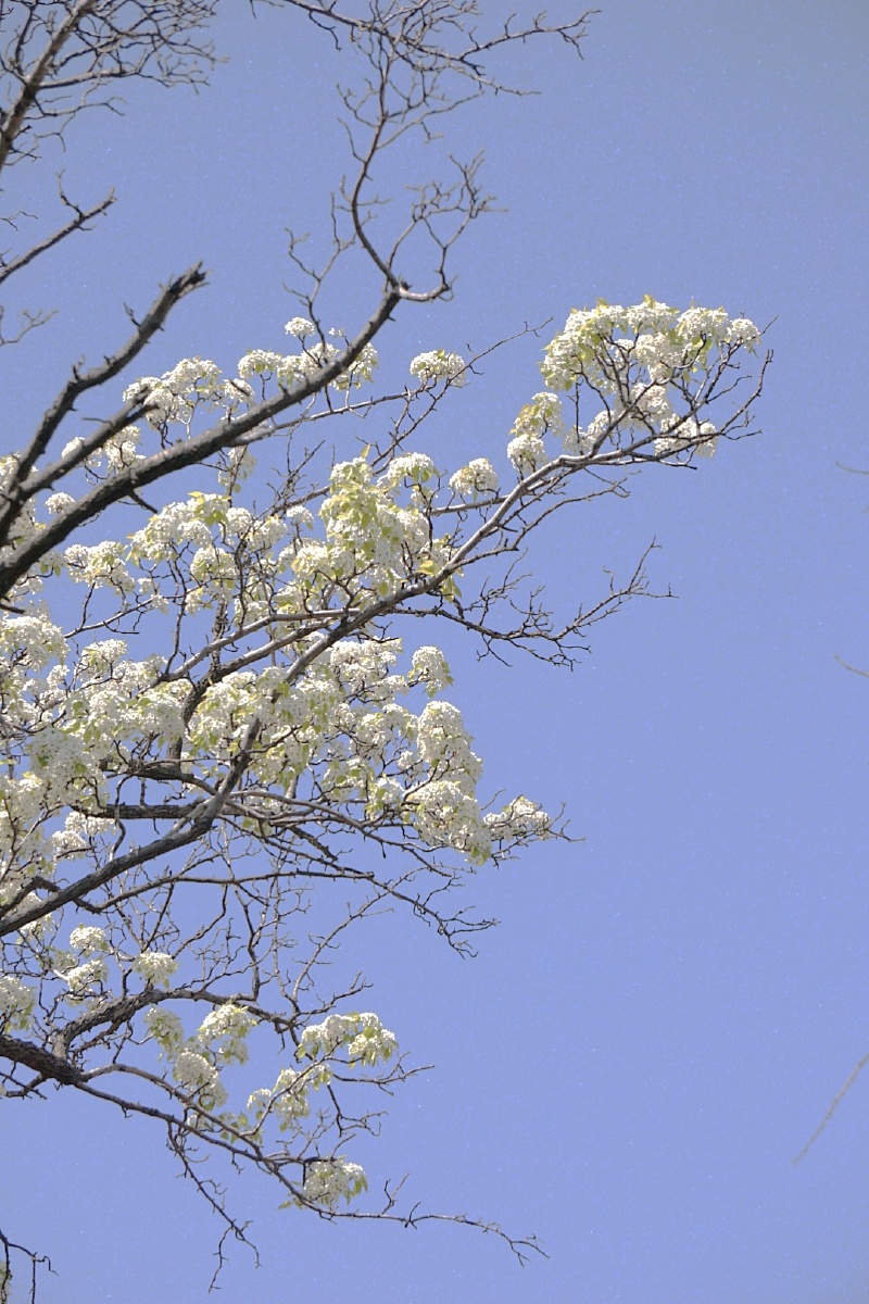 感受春天的美好