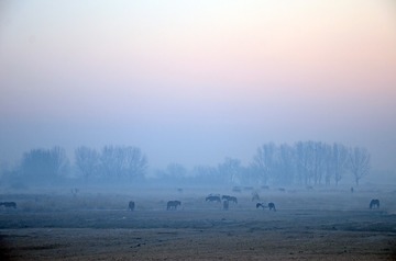 DSC_8421 (2)